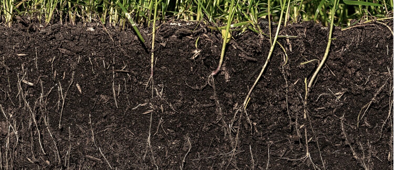 Image showing cross section of soil to show where Nitrate in Groundwater happens