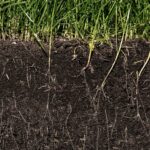 Image showing cross section of soil to show where Nitrate in Groundwater happens