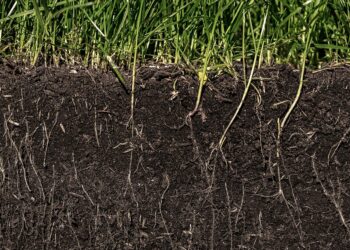 Image showing cross section of soil to show where Nitrate in Groundwater happens